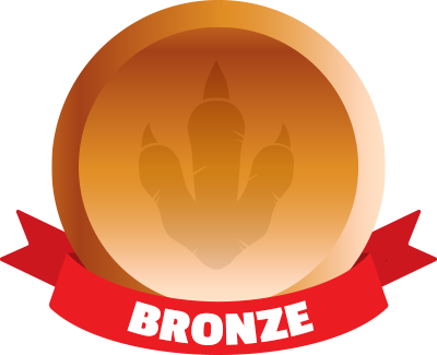 Bronze Package