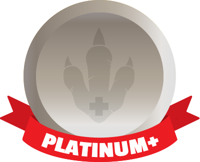 Platinum Plus Package