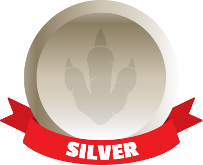 Silver Package